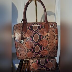 Brahmin Marmalade D'Angelo & Ady